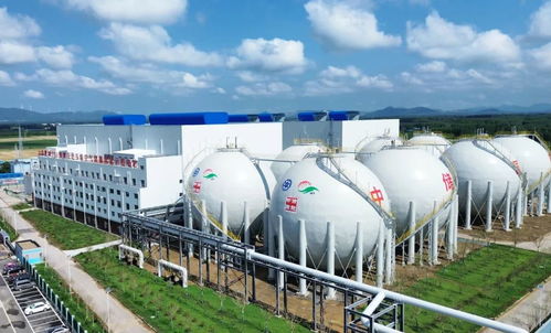 泰安用好關鍵一招，新材料技術驅動發展活力全面釋放